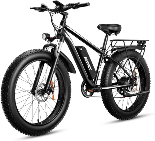 AMYET EB26 Electric Mountain Absorber