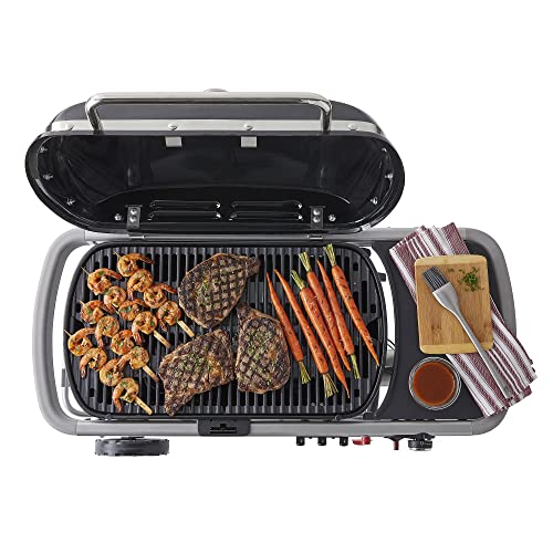 Weber 9020001 Traveler Portable Grill