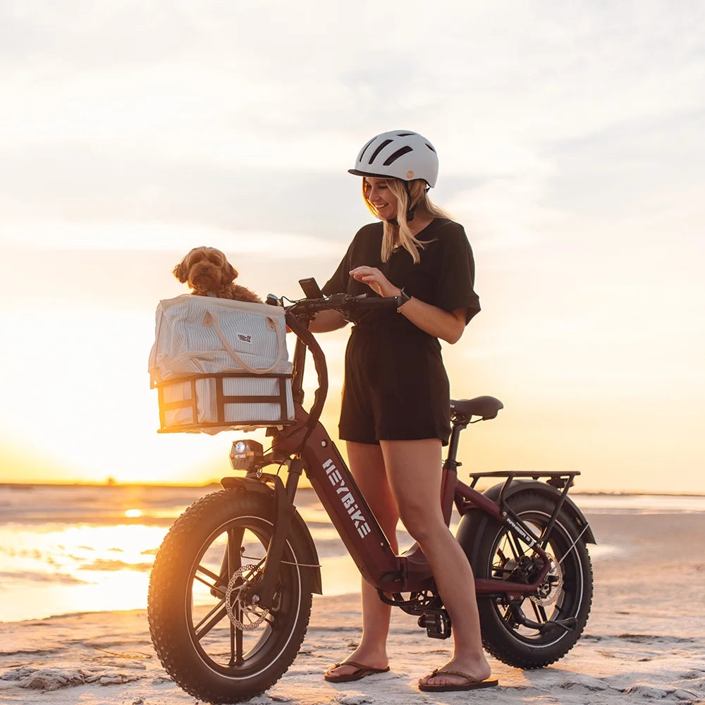 Heybike Ranger S Electric Bike for Adults, 750W Foldable Ebike with 48V 14.4AH Removable Battery, 20" x 4.0 Fat Tire Step-thru Electric Bicycle, 7-Speed Hydraulic Fork