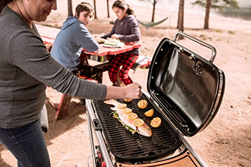 Weber 9020001 Traveler Portable Grill