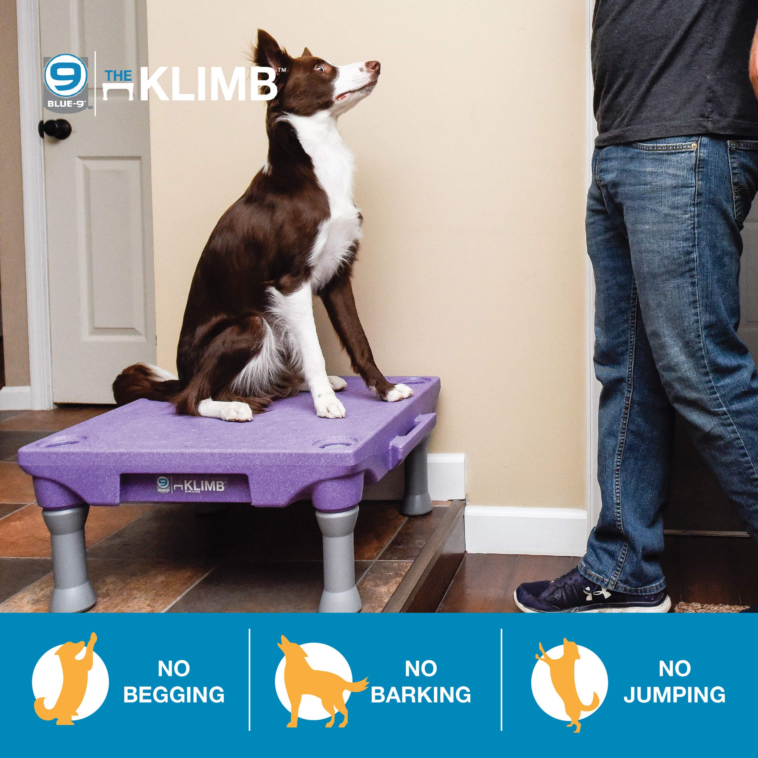 Blue 9 Products Training Platform Portable